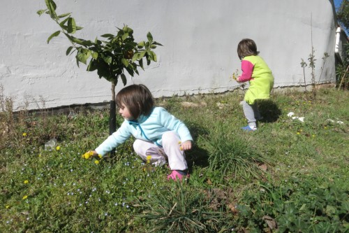 My nieces Elettra and Allegra pick flowers for their mom