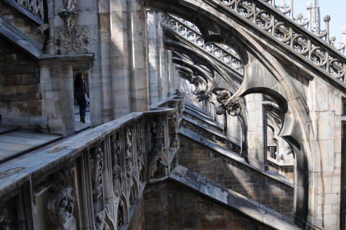 DETAIL OF THE MILAN CATHEDRAL #2