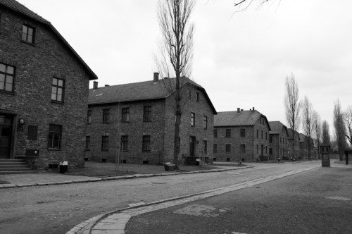 Blocks in Auschwitz