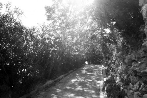 ROAD TO GABRIELE D'ANNUNZIO AND BARBARA LEONI'S SUMMER RESIDENCE