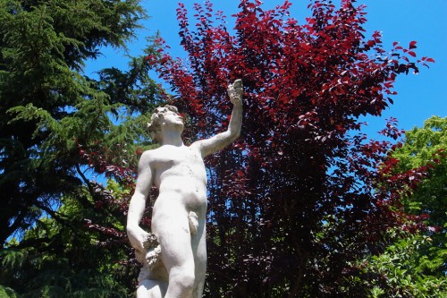 Statue of the public garden