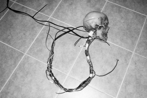 Skull used during the Nicola Antonelli show last night