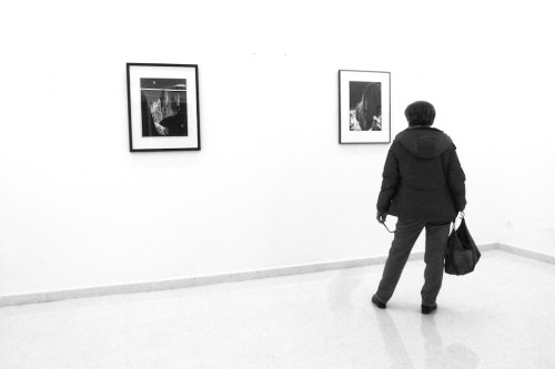 Visitor to the Ansel Adams show
