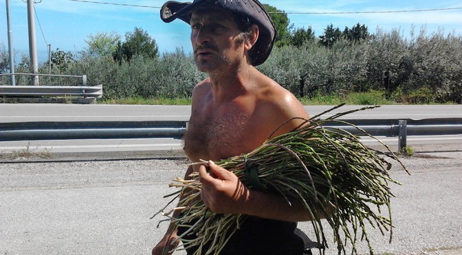 ANTONIO AND THE WILD ASPARAGUS, FOSSACESIA