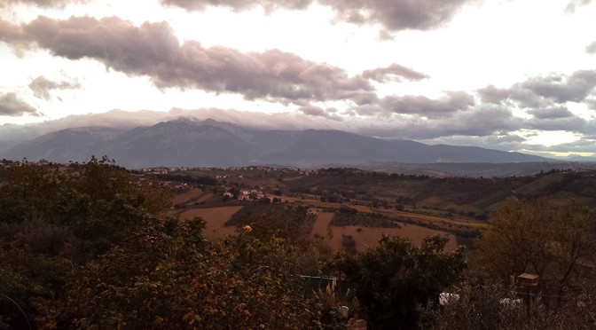 COUNTRY WITH OLIVE TREES