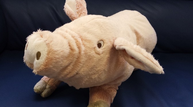 WHILE I WAS WAITING FOR SORRENTINO EXPORT MANAGER