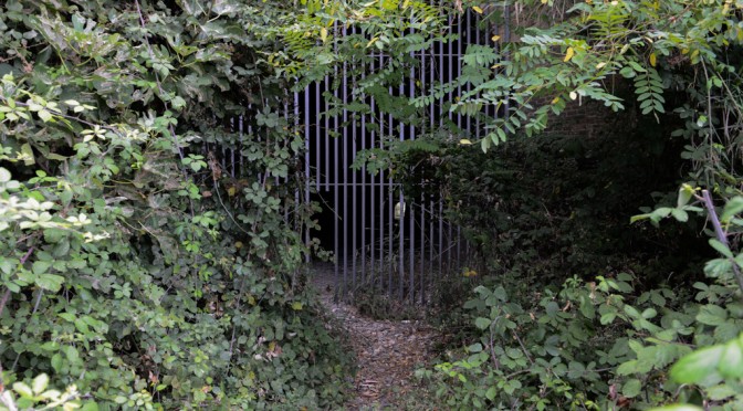 ENTRANCE OF TUNNEL NEAR THE PROMONTORIO DANNUNZIANO