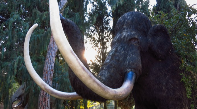 WORLD OF DINOSAURS, CAPRARA D'ABRUZZO