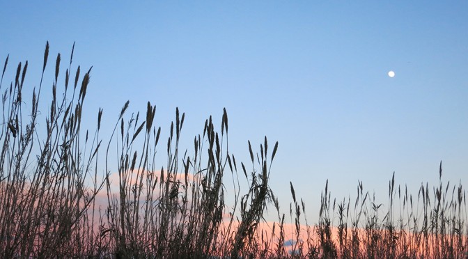 TORINO DI SANGRO SKY