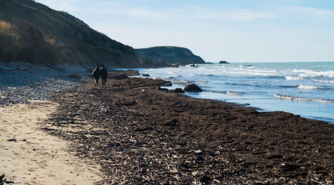 DARK SIDE OF PUNTA ADERCI: WALKING DEAD