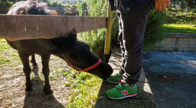 Rita likes Riccardo's shoes