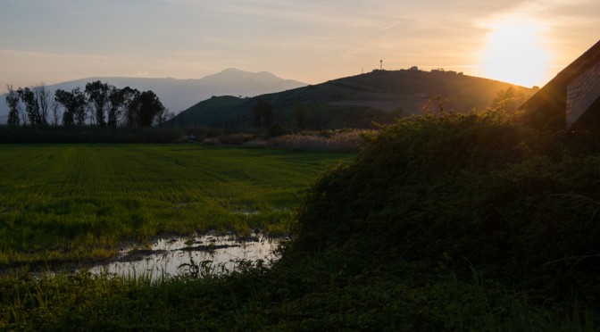 Sunshine on the land