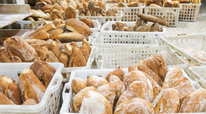 Bread