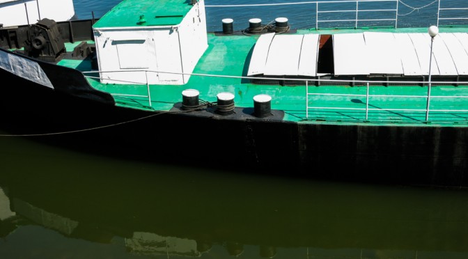 More green on Danube, Vidin