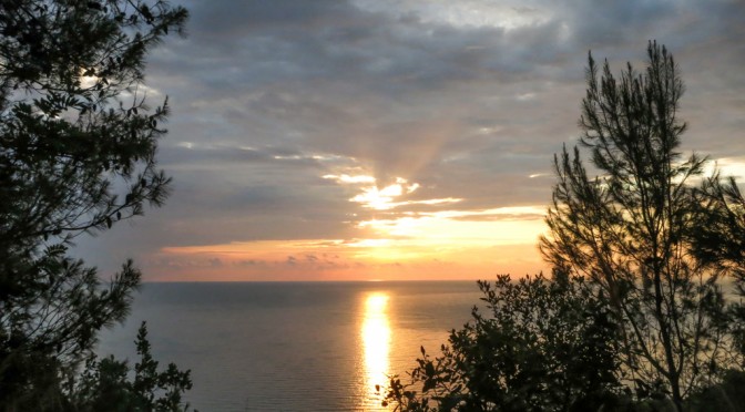 Another Sunrise