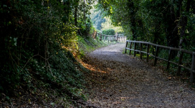 Don Venanzio Woods, Pollutri