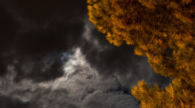 Cumulus