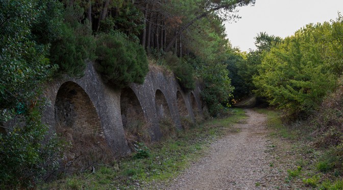 On the way to the sea