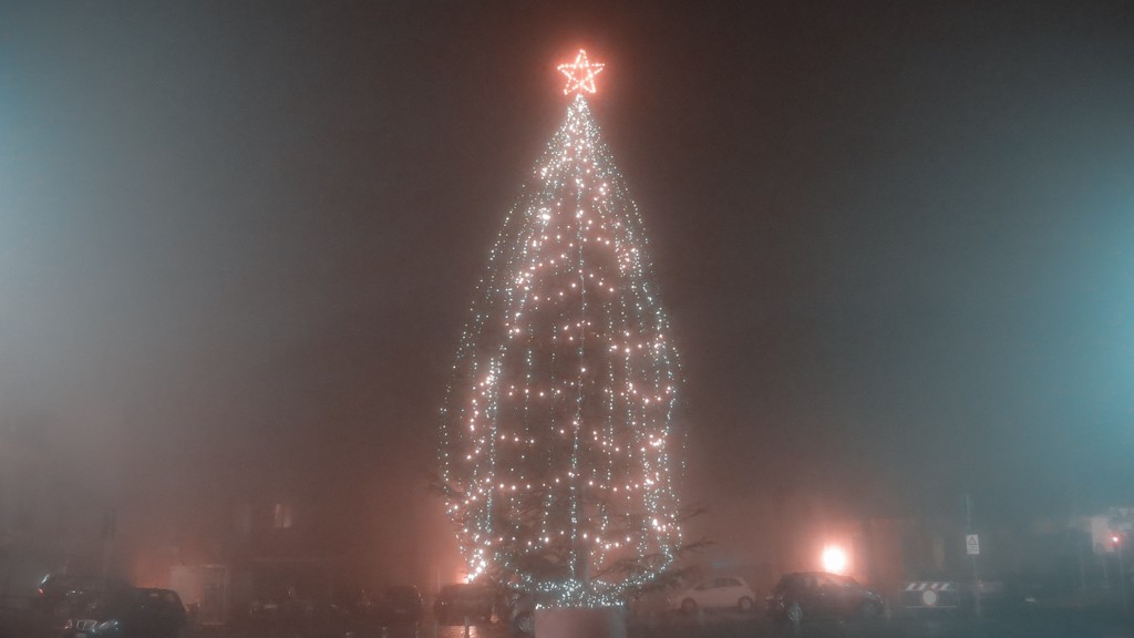 Christmas tree into the fog