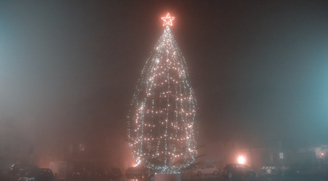 Christmas tree into the fog