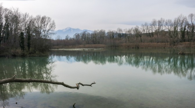 That branch on the Sangro river