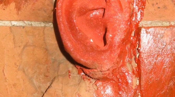 Ear of the wall, Nicola Antonelli