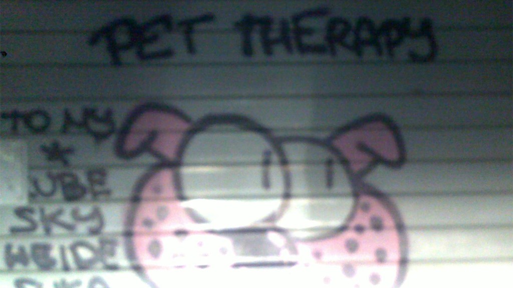 PET THERAPY