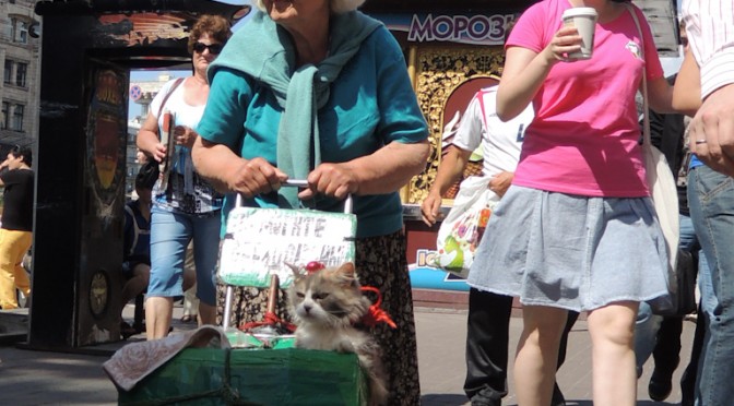 CAT IN KIEV