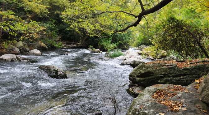Nature in Eremo of St Venanzio