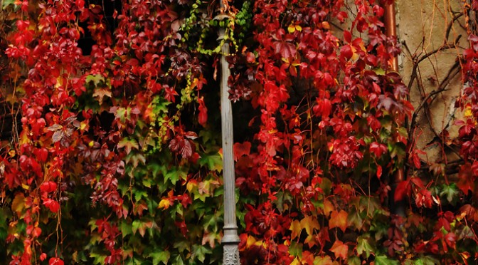 Streetlamp in Tagliacozzo