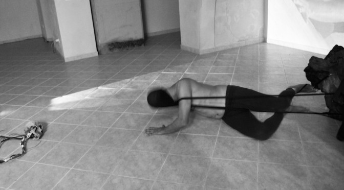 Nicola Antonelli during a performance last night