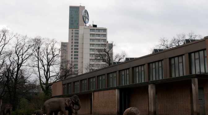 ZOO'S ELEPHANT FAMILY