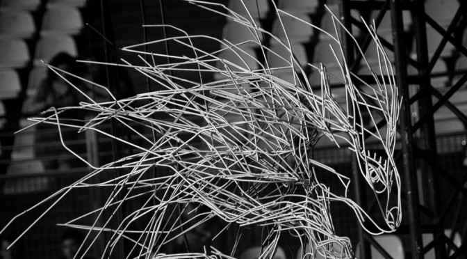 Porcupine for Subsonica live