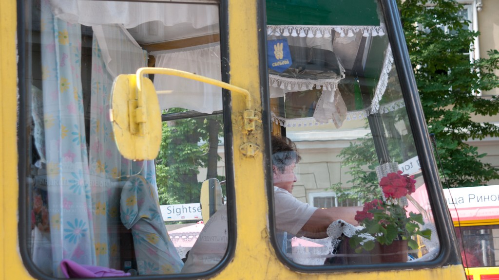 GERANIUMS IN THE TRAM