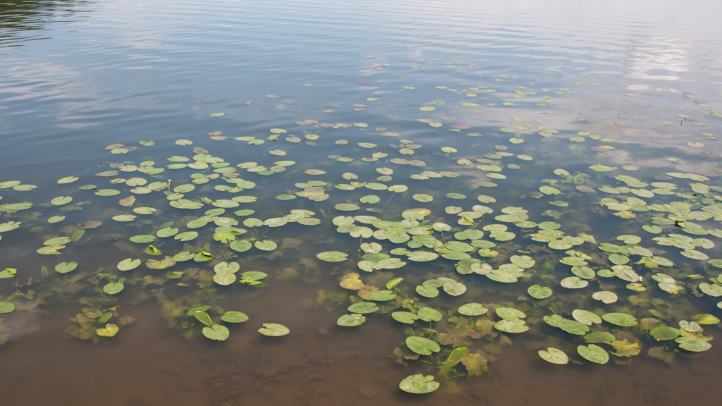 TERNOPIL LAKE