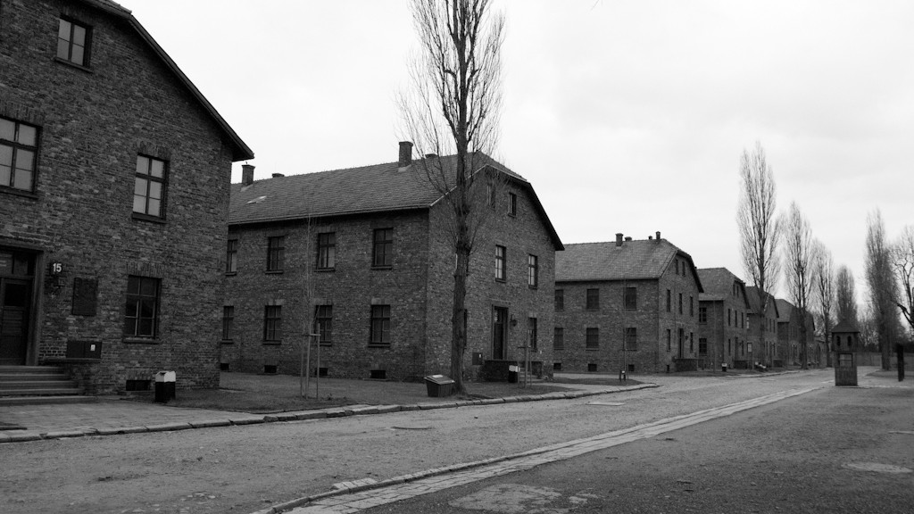 Blocks in Auschwitz