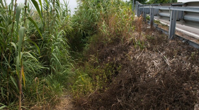 ON THE WAY TO TRABOCCO TURCHINO