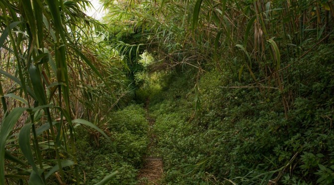 ON THE WAY TO TRABOCCO TURCHINO #2