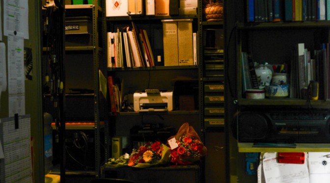 DETAIL OF THE TEATRO MASINI IN FAENZA