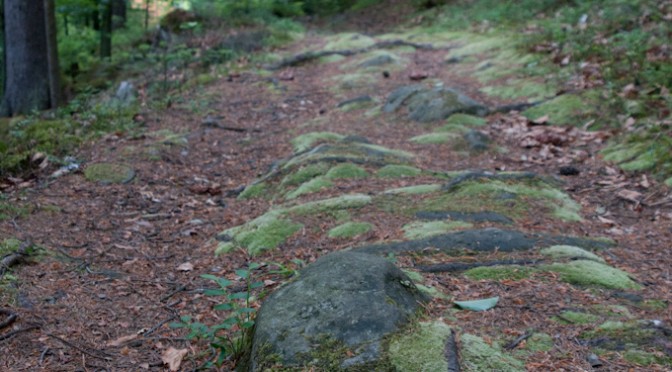 ON DOVBUSH PATH IN YAREMCHE