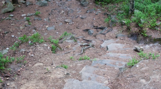 ON DOVBUSH PATH IN YAREMCHE #4