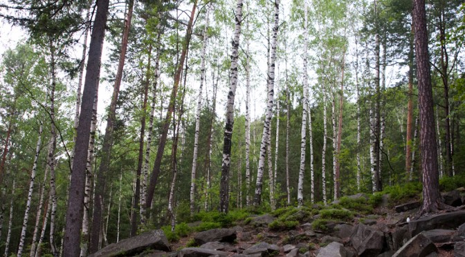 ON DOVBUSH PATH IN YAREMCHE #3