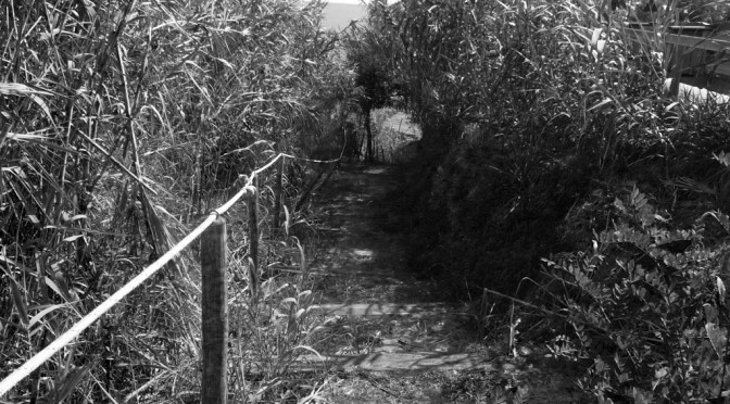 THE WAY FOR THE TRABOCCO TURCHINO