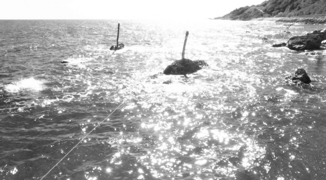 FROM THE TRABOCCO TURCHINO IN SAN VITO CHIETINO