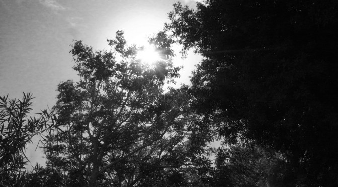 SUNBEAMS ON THE ROAD TO GABRIELE D’ANNUNZIO AND BARBARA LEONI’S SUMMER RESIDENCE