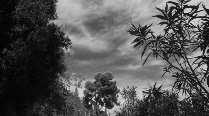 VIEW FROM THE CAPE OPPOSITE THE ROAD