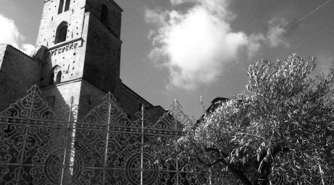 OLIVO TREE IN THE DAY OF THE GIFT