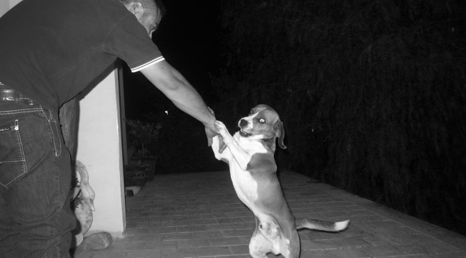 BUSTER THE DOG AT ANNALISA'S HOUSE