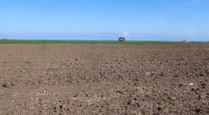 ABOVE THE FOSSO DEL DIAVOLO