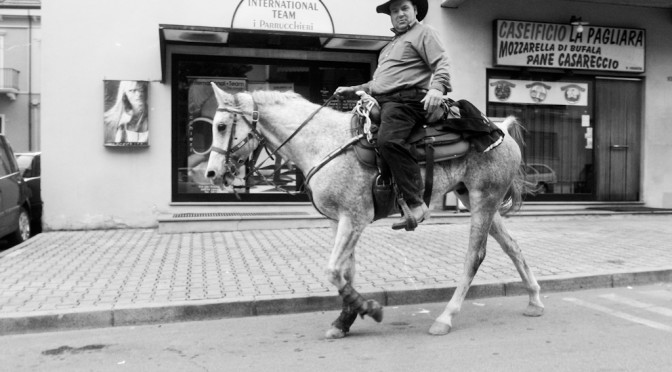 HORSE ON FOSSACESIA STREET